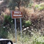 şirinceköyü (23)