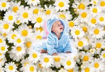 Kadın İsmi olan Çiçek İsimleri Kadın ismi olan çiçek isimleri